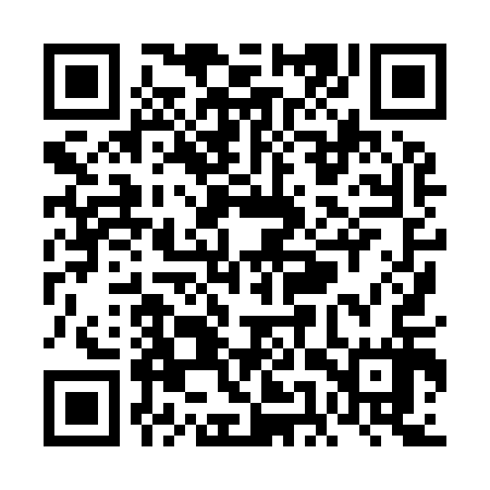 QR code for VEX917