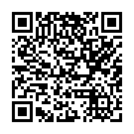 QR code for VFE004