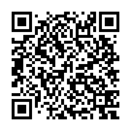 QR code for VFJ739