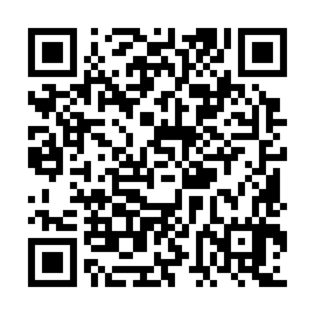 QR code for VFM387