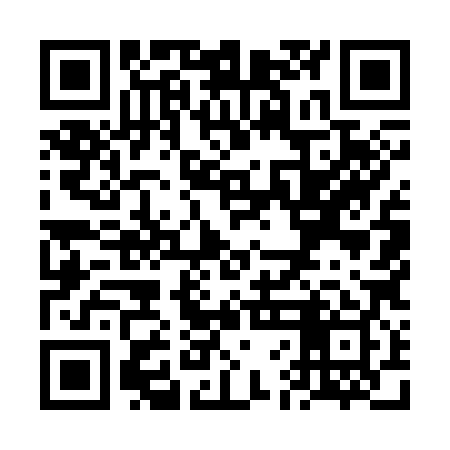QR code for VFM389