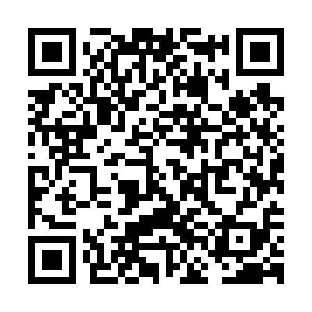 QR code for VFM619