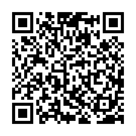 QR code for VFP011