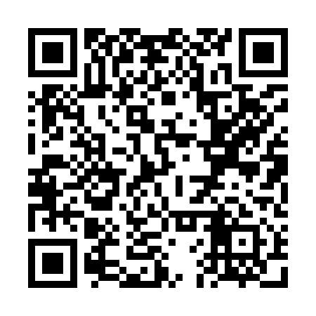 QR code for VFP911