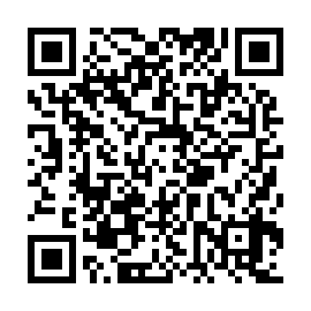 QR code for VFP938