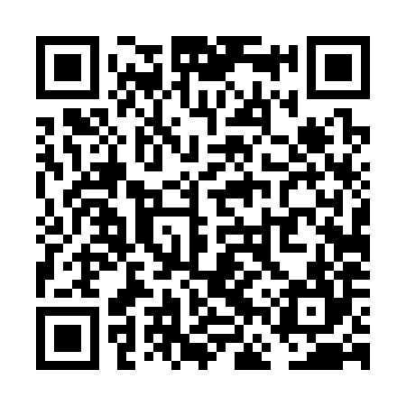 QR code for VFT384