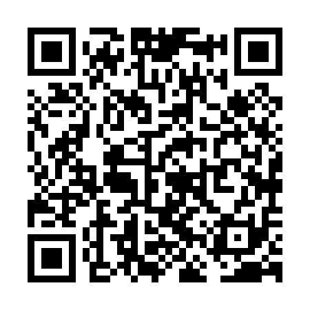 QR code for VFX011