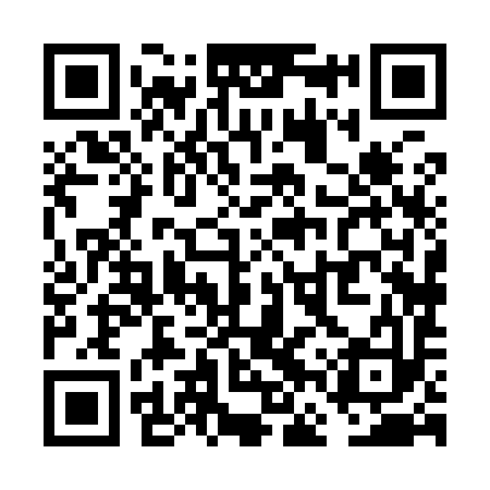 QR code for VFX993