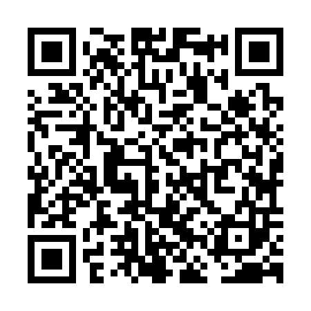 QR code for VFZ303