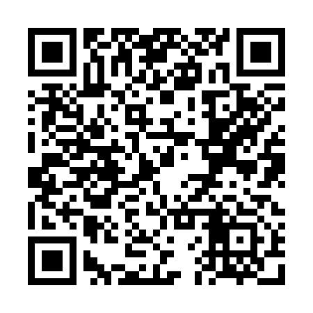 QR code for VFZ313