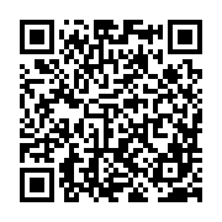 QR code for VFZ386