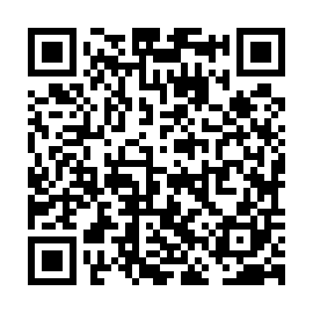 QR code for VFZ500