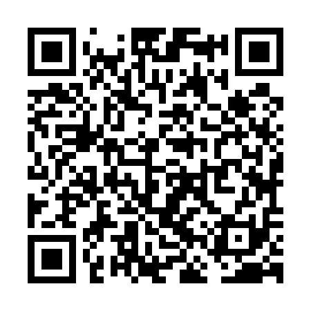 QR code for VFZ511