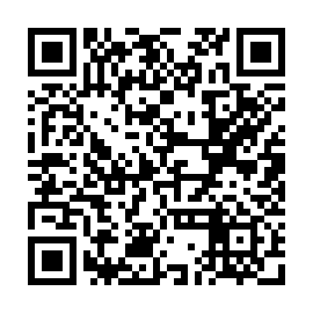 QR code for VGA339