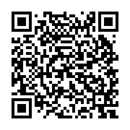 QR code for VGG295