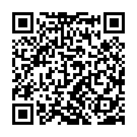 QR code for VGH038