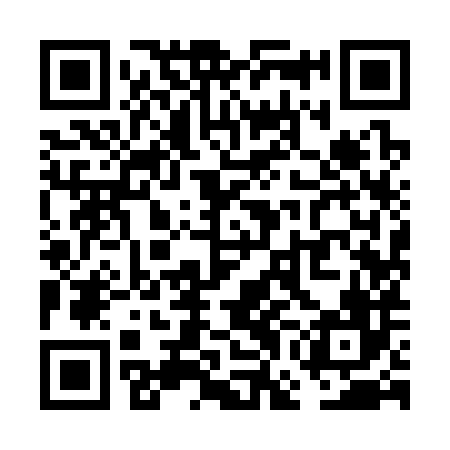 QR code for VGI386