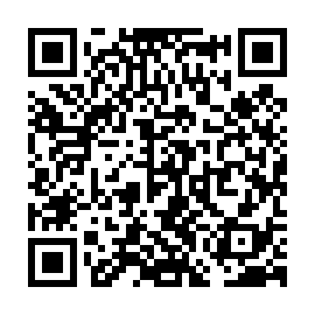 QR code for VGI438