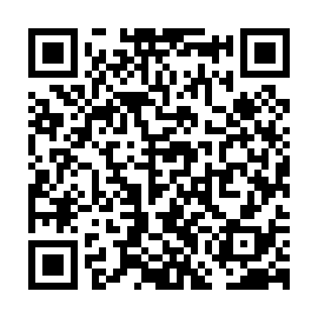 QR code for VGM038