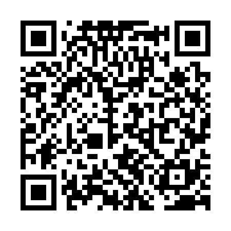 QR code for VGN335