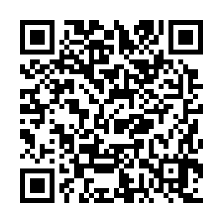 QR code for VGP387
