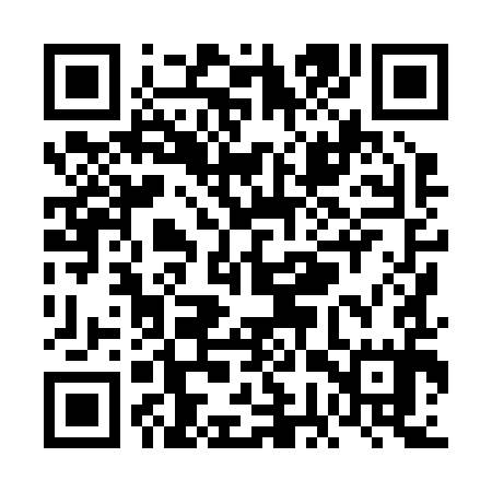 QR code for VGX295