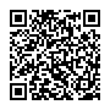 QR code for VGX313