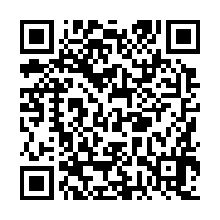 QR code for VGX394