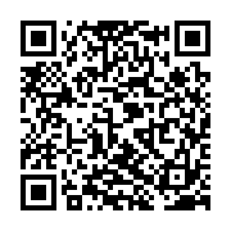 QR code for VHS333