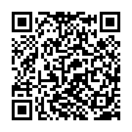 QR code for VHX011