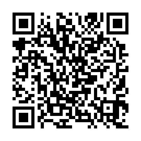 QR code for VIA311