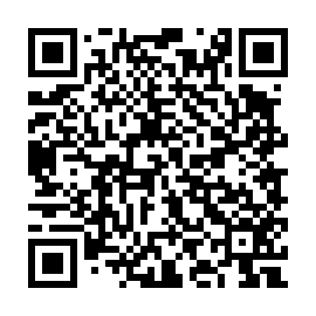QR code for VID456