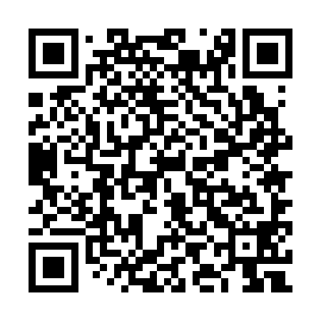 QR code for VIE398