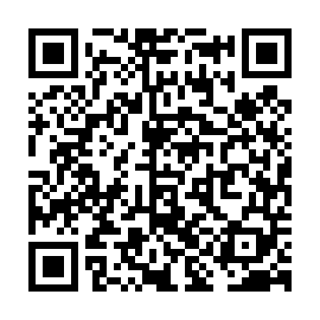 QR code for VIE449