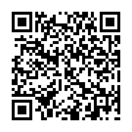 QR code for VIJ341