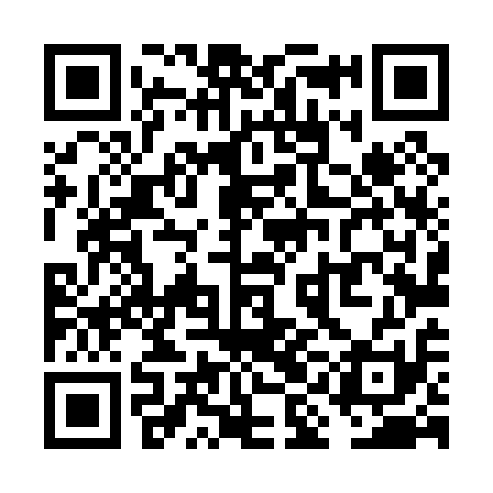 QR code for VIL011