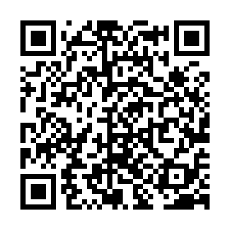 QR code for VIL919