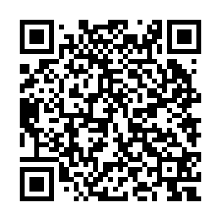 QR code for VIN220
