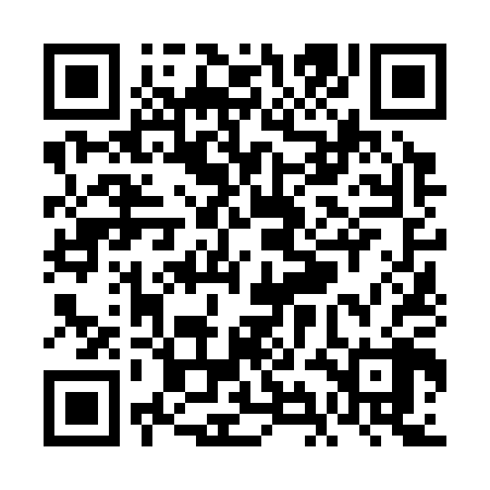 QR code for VIN308