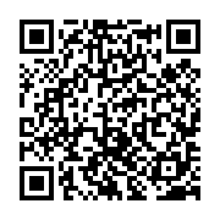 QR code for VIN495