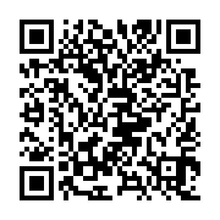 QR code for VIN711