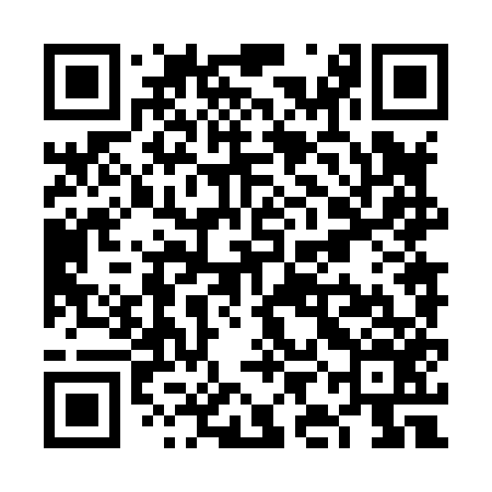 QR code for VIN856