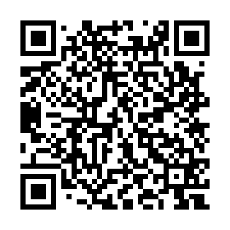 QR code for VIO161