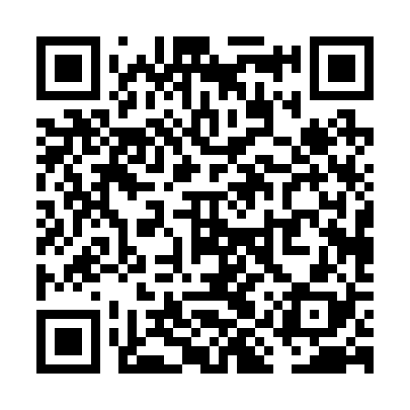 QR code for VIP228