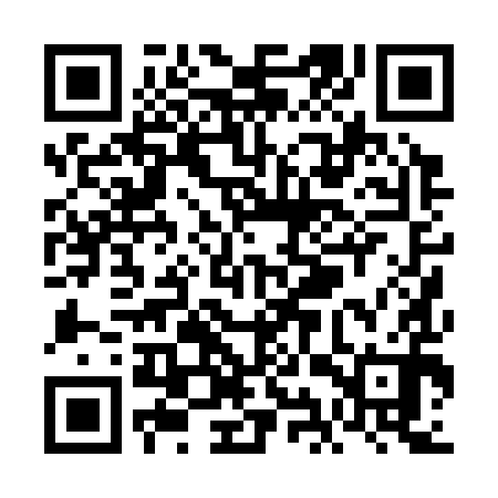 QR code for VIP390