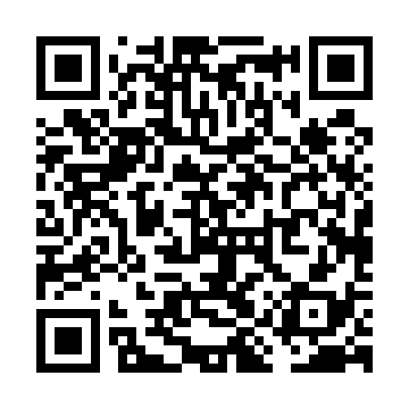 QR code for VIP538