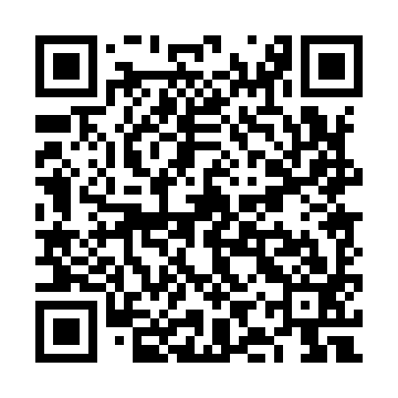 QR code for VIP993