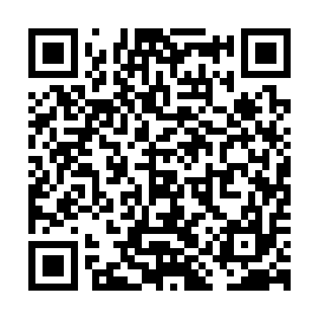 QR code for VIQ317