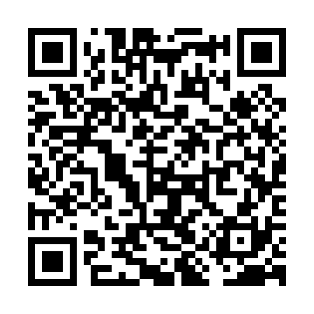 QR code for VIS030