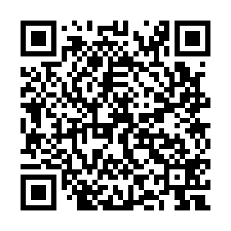 QR code for VIS119